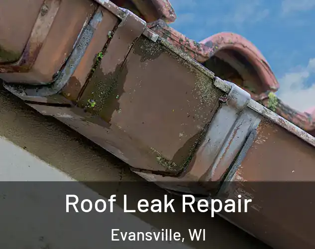  Roof Leak Repair Evansville, WI